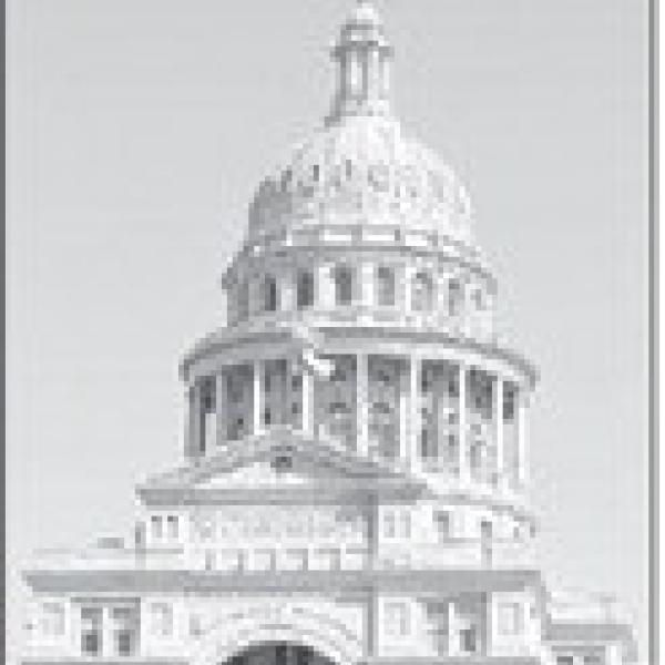 Alt Text for Image