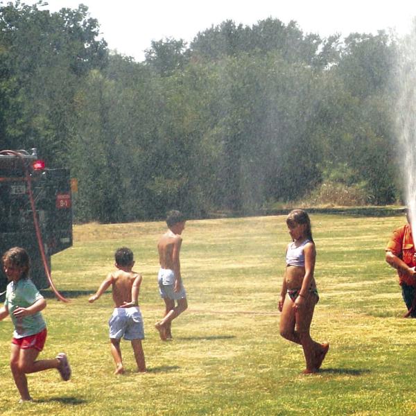 Fun in the Sun
