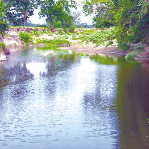Lone Star Healthy Streams will host a workshop on Aug. 11 in Gatesville focused on land stewardship, soil health, water quality and conservation strategies. Photo by Michael Miller/Texas A&amp;M AgriLife