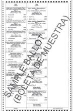 Early Voting, Election Day Information: