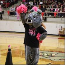 Hamilton Independent School District mascot Sparky joins in on the Pink Out Day pep rally Oct. 16 with bright pom-poms and a “Fight for a Cure” cancer awareness shirt. Pink Out Day sees the campus, student body and staff show off as much pink as possible in honor of National Breast Cancer Awareness Month. Photo by Jaxon Hansard
