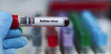 Hamilton Vet Clinic gives rabies questions a shot
