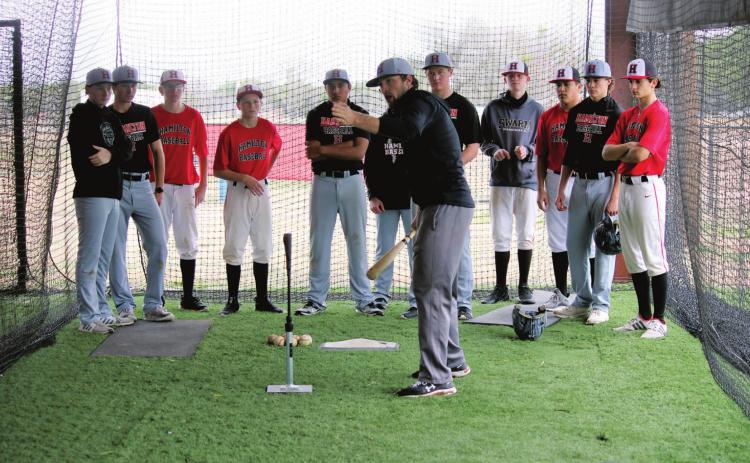 Spring swing: Dogs prep for season