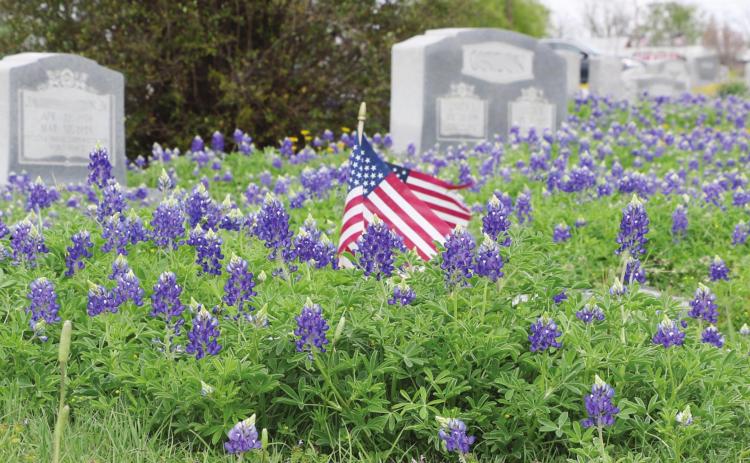 Memorial Day ceremony set at museum