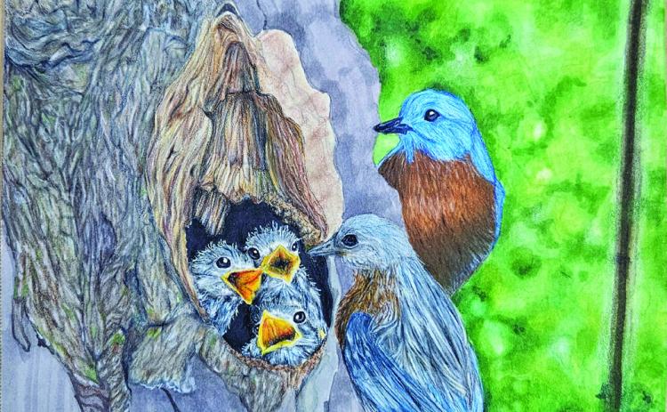 Bulldog Artist of the Week - Ellie Kalbas 12th grade