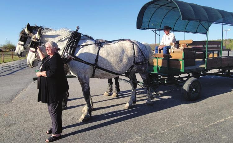RIDES FOR WRITERS