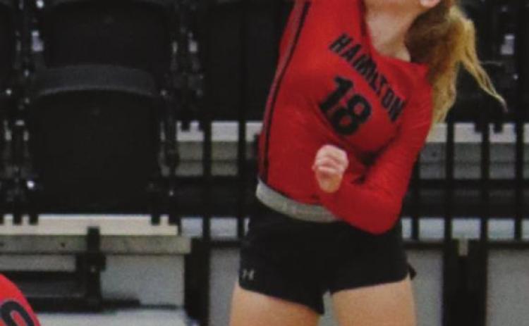 BULLDOG VOLLEYBALL