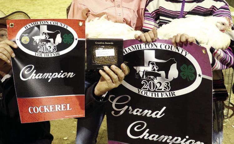 CHAMPION COCKREL