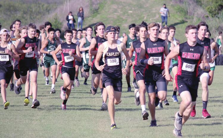 XC barrels through Jarrell, Gloff Invitational Wednesday