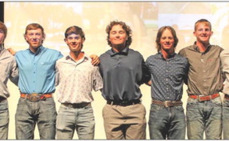 Dogs earn District honors