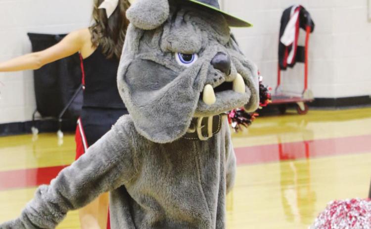 Hasta la vista, Rio Vista Dogs clinch playoff berth