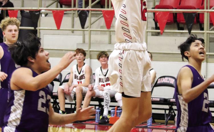 JV Dog Action