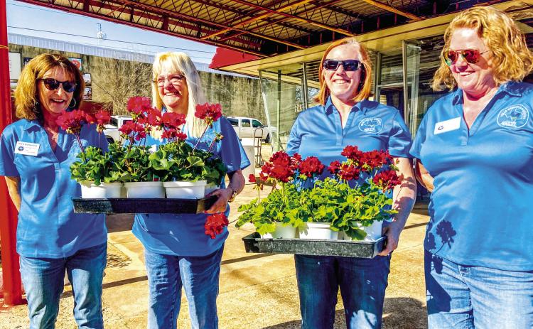 Master Gardeners plan plant fair
