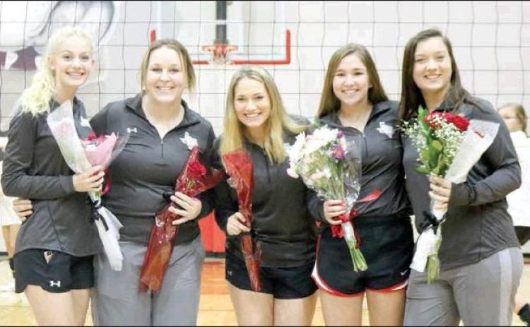 LADY DOG VOLLEYBALL