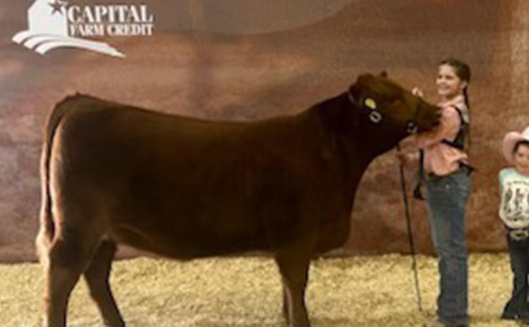 San Angelo show