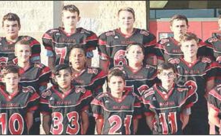 Bulldogs cap memorable playoff season in Whitney
