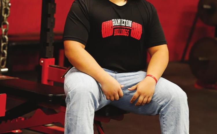state bound strong dog