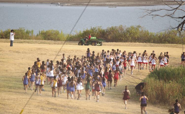 STAMPEDE