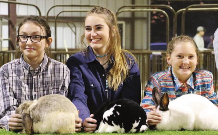 Hamilton County Youth Fair