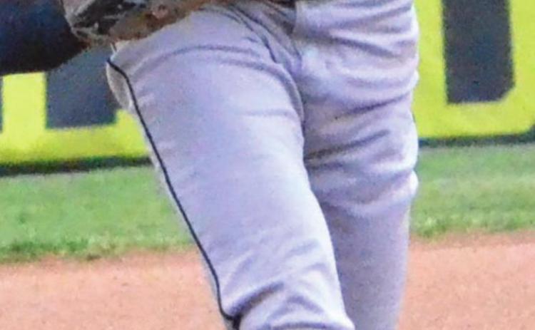 Dogs take to the diamond