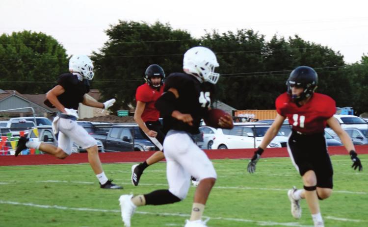 BULLDOG FOOTBALL