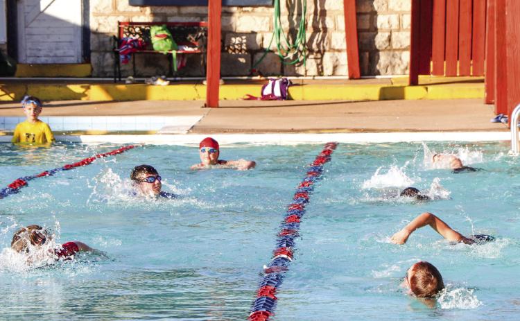 Sharks to swim at Regionals