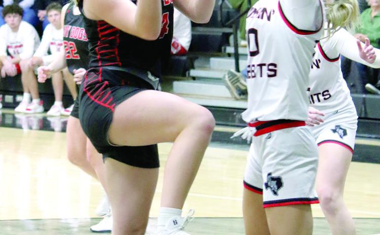 LADY Bulldogs