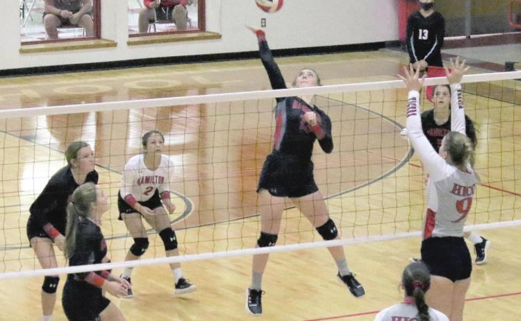 LADY DOG VOLLEYBALL