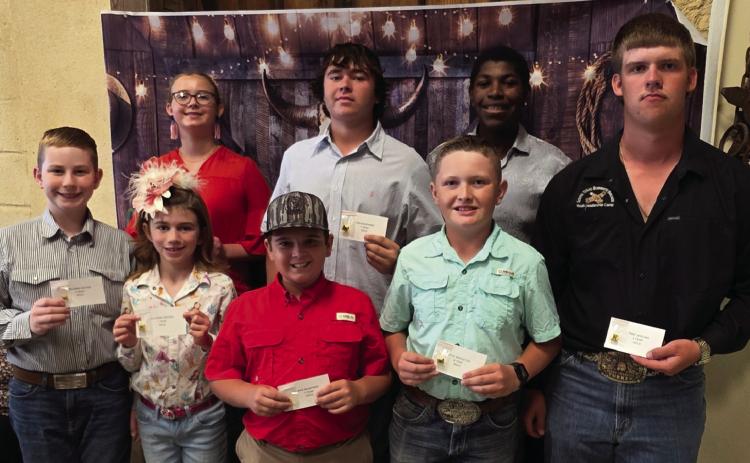 4-H awards