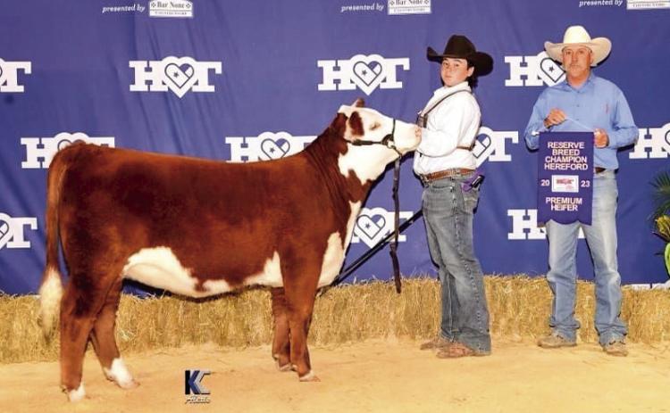 Reserve Champion