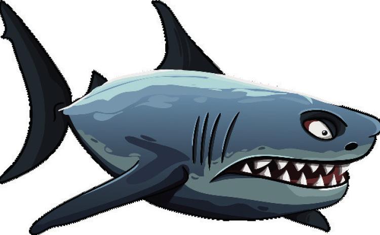 Shark attack!
