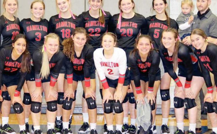 LADY DOG VOLLEYBALL