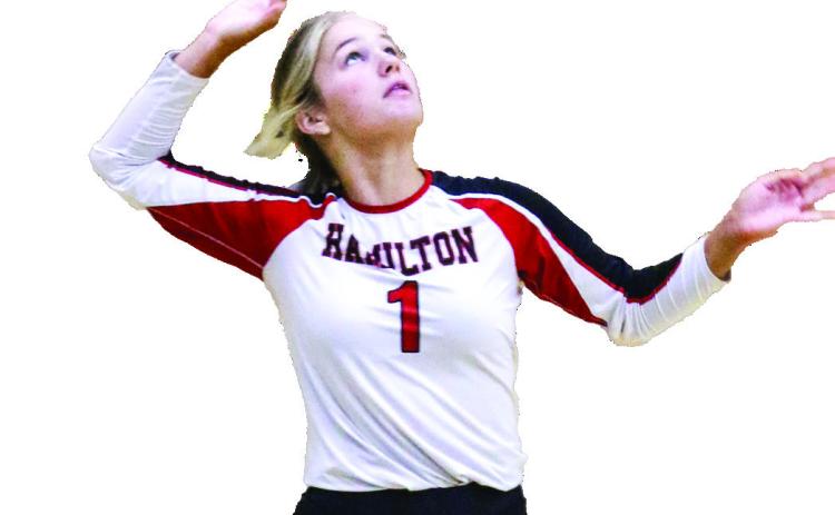  Lady Bulldog Volleyball