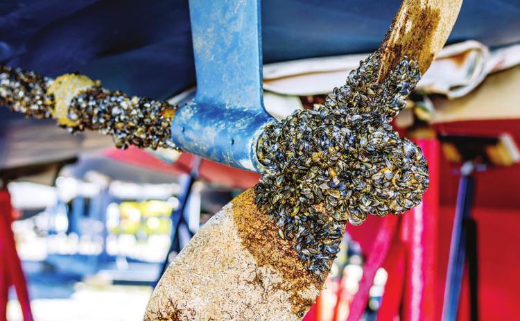 3 Texas lakes infested