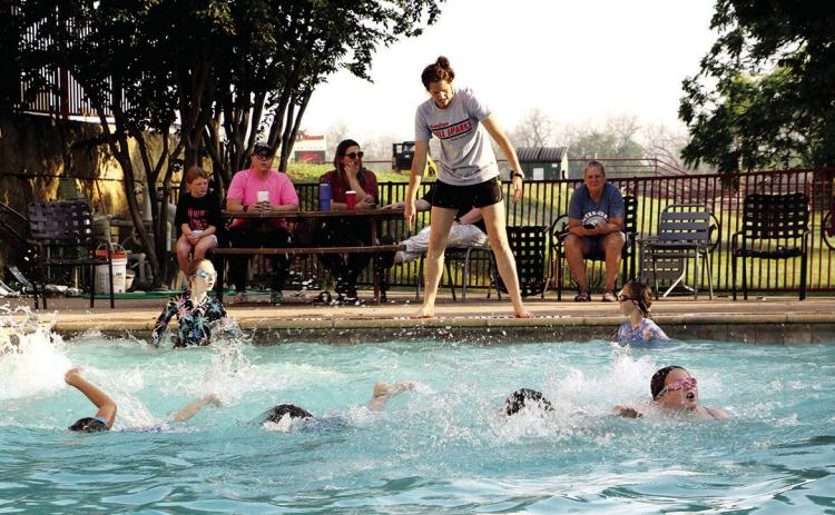 SHARKS IN THE WATER
