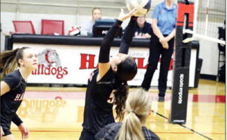 SUPER SETTER SCHROEDER: Junior Kinsey Schroeder slides in to set a pass for her striking Lady Bulldogs teammates to spike. Photos by Jaxon Hansard