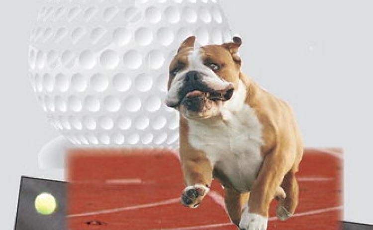 Bulldog takin´care of business