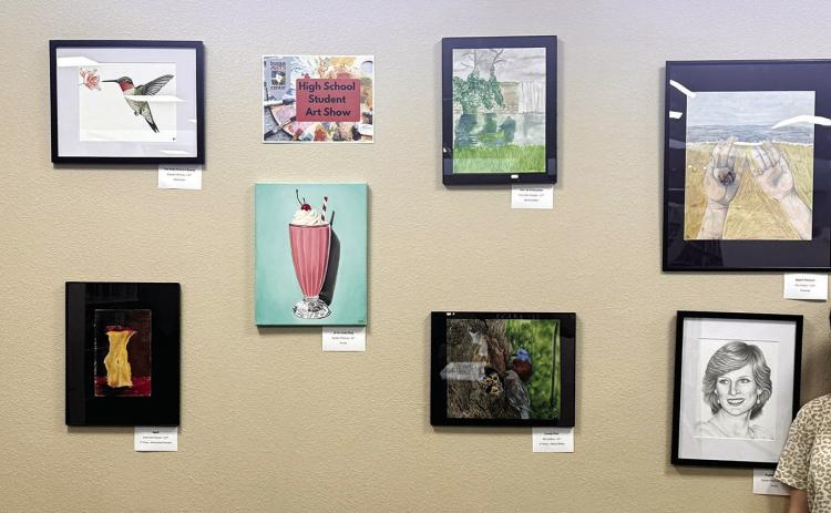 Hamilton student gets Best of Show in Clifton art show
