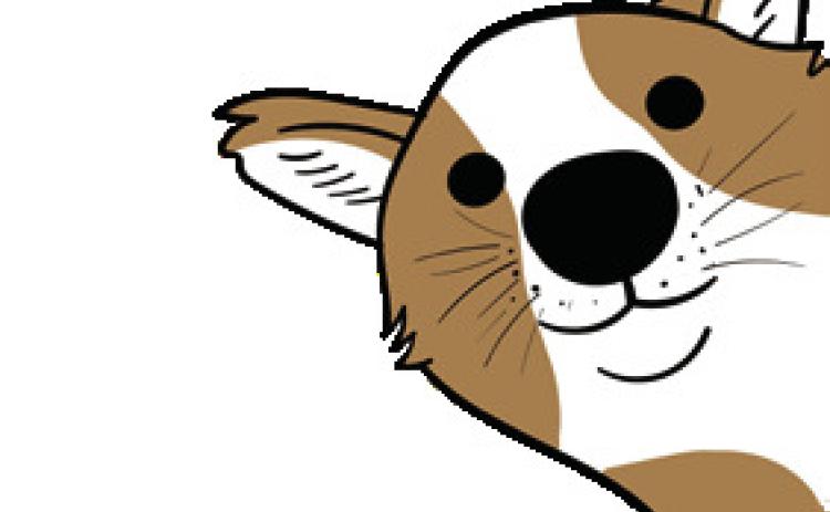 Bark and Ball Bash this Saturday