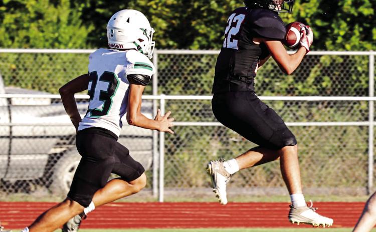 Dogs mow down Cub cadets;