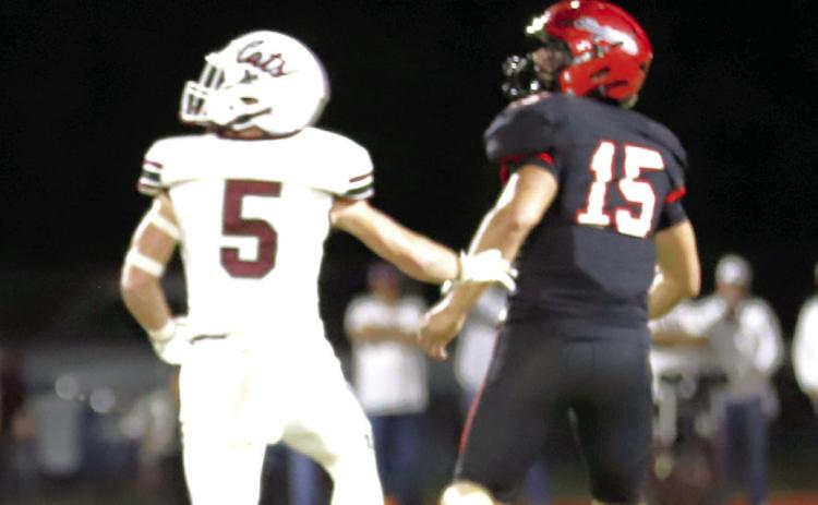 District champ Dogs cradle Cats with silver spoon