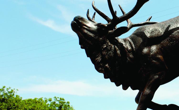 The Elk Call