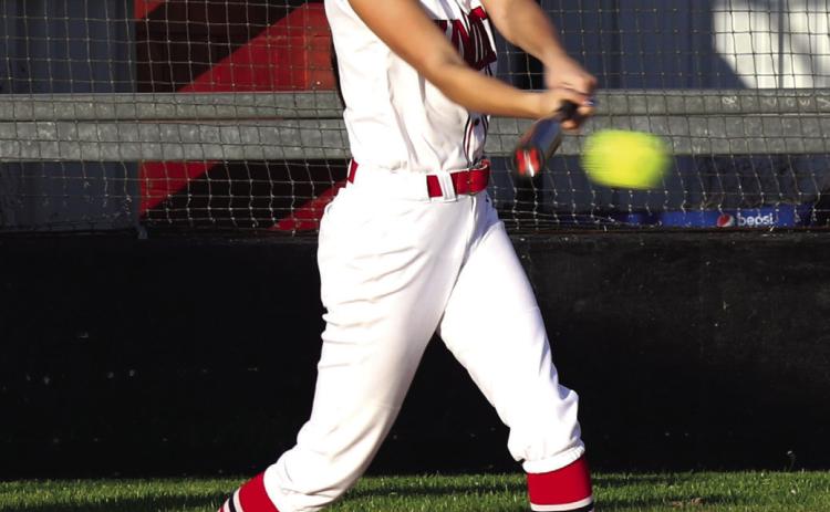 Lady Dogs bat around