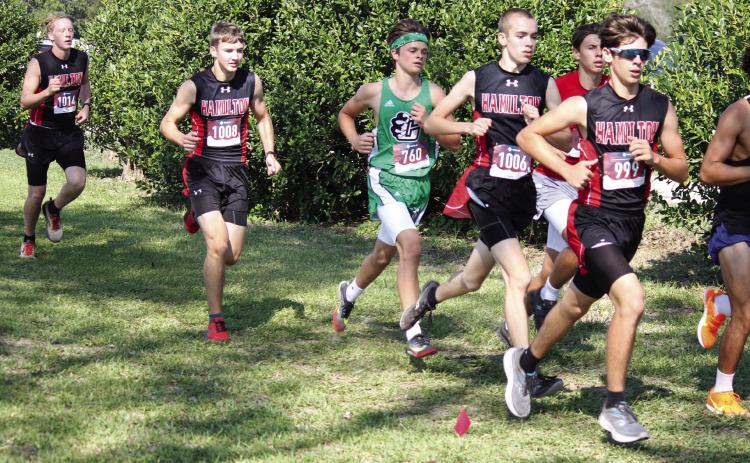XC Dogs prune back competition in Glen Rose