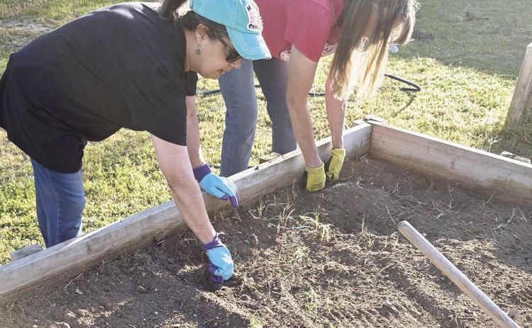 LEARNING GARDEN