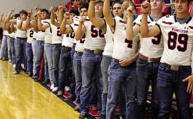 Bulldogs will shine