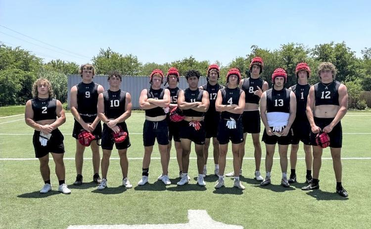 Bulldogs