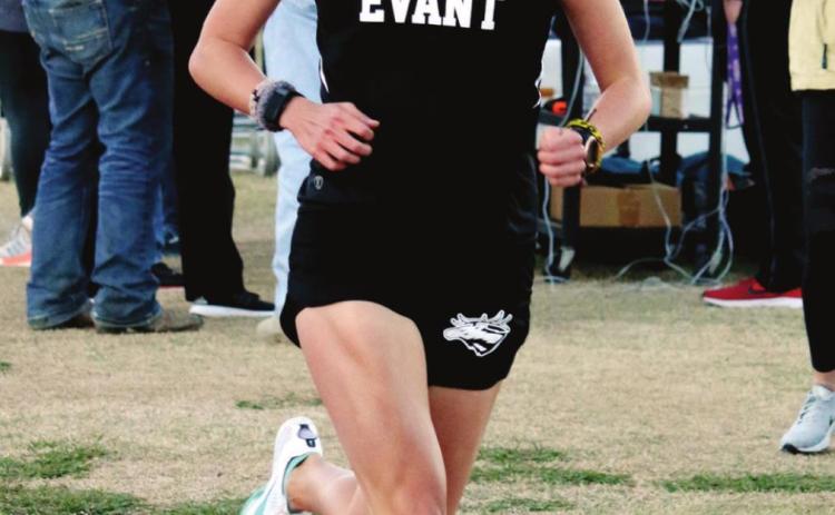 ON THE RUN