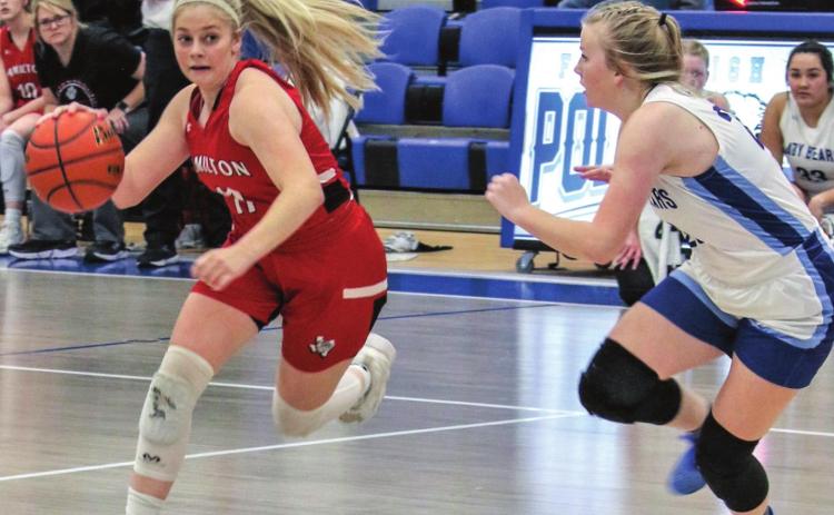 Dogs, Lady Dogs stick hat tricks