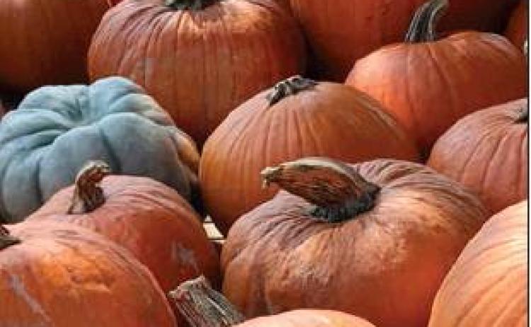Fall Festival planned after trick or treat